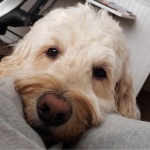 Meet The Posher | Jordan Bresee